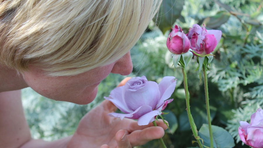 Una mujer huele una flor. PIXABAY