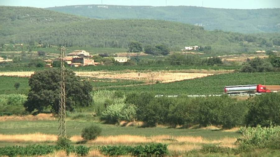 Los terrenos donde se pretende la infraestructura.