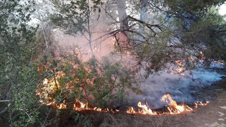 Imagen de las llamas que han afectado una zona boscosa en la zona de Els Munts. FOTO: P.L. Altafulla