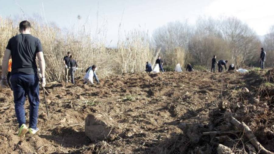 Imatge d´una de les jornades de voluntariat per recuperar la vegetació del Francolí a Montblanc. Foto: CEN