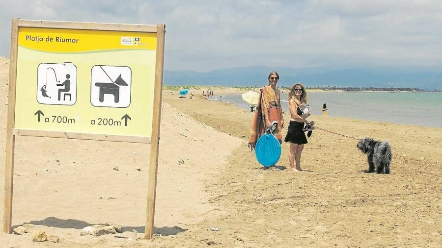 Propietarios con la mascota en la playa Bassa de la Arena, en el Delta de l&rsquo;Ebre. Foto: Joan Revillas