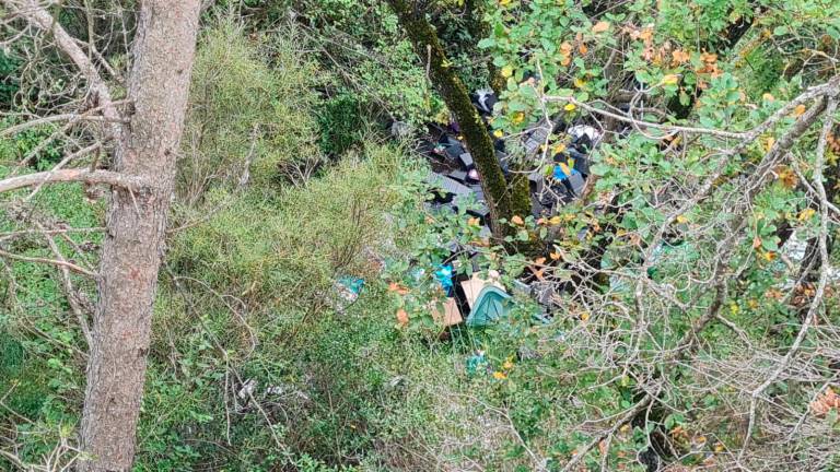 Parte del vertido está tapado por las ramas y maleza. Foto: DT