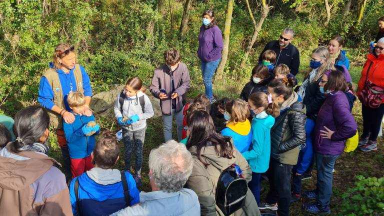 La tortuga de rierol es consolida entre la fauna al tram inicial del Gaià, a Querol