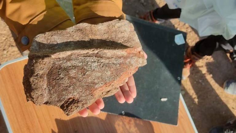 Un arqueólogo muestra uno de los grandes fragmentos de la excavación. foto: dep. de cultua de la generalitat