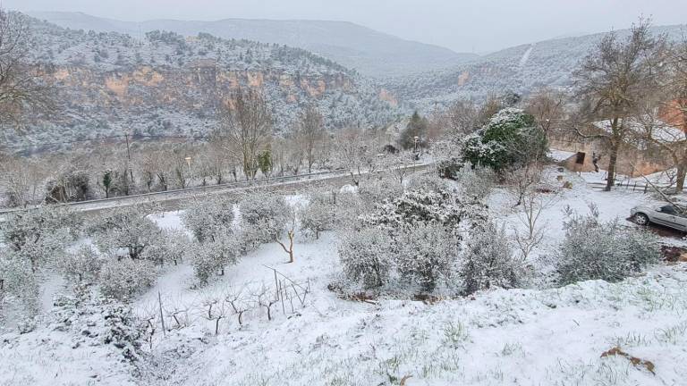 La nieve llega a Tarragona