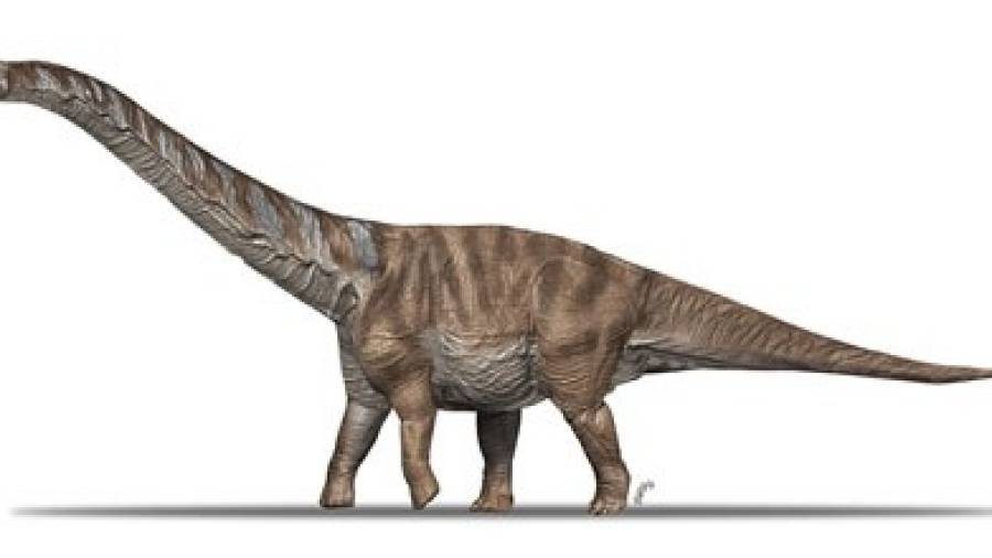 Imagen de la nueva especie de dinosaurio descubierta en Catalunya. Foto: ICP