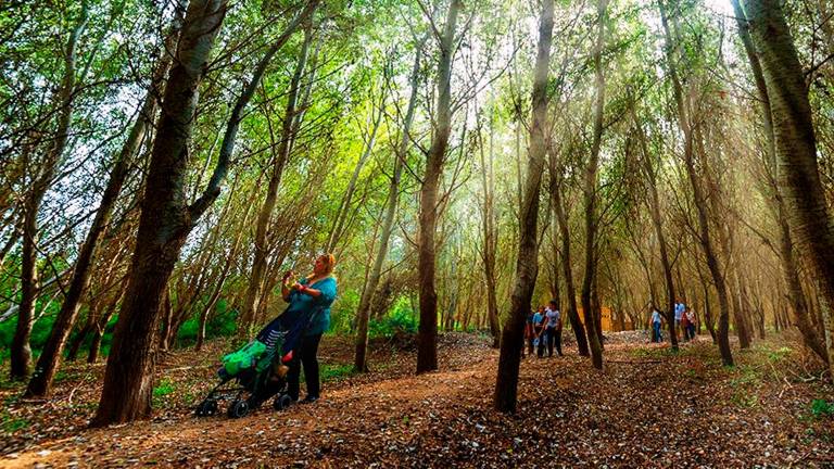 En el Parc Natural del Delta de l’Ebre se organizará una visita para conocer las especies más enigmáticas de los Ullals. Foto: ACN