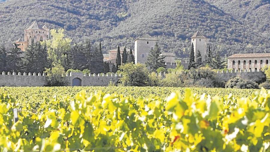 Monestir de Santa Maria de Poblet, en la comarca de la Conca de Barberà. Foto: Pere Ferré